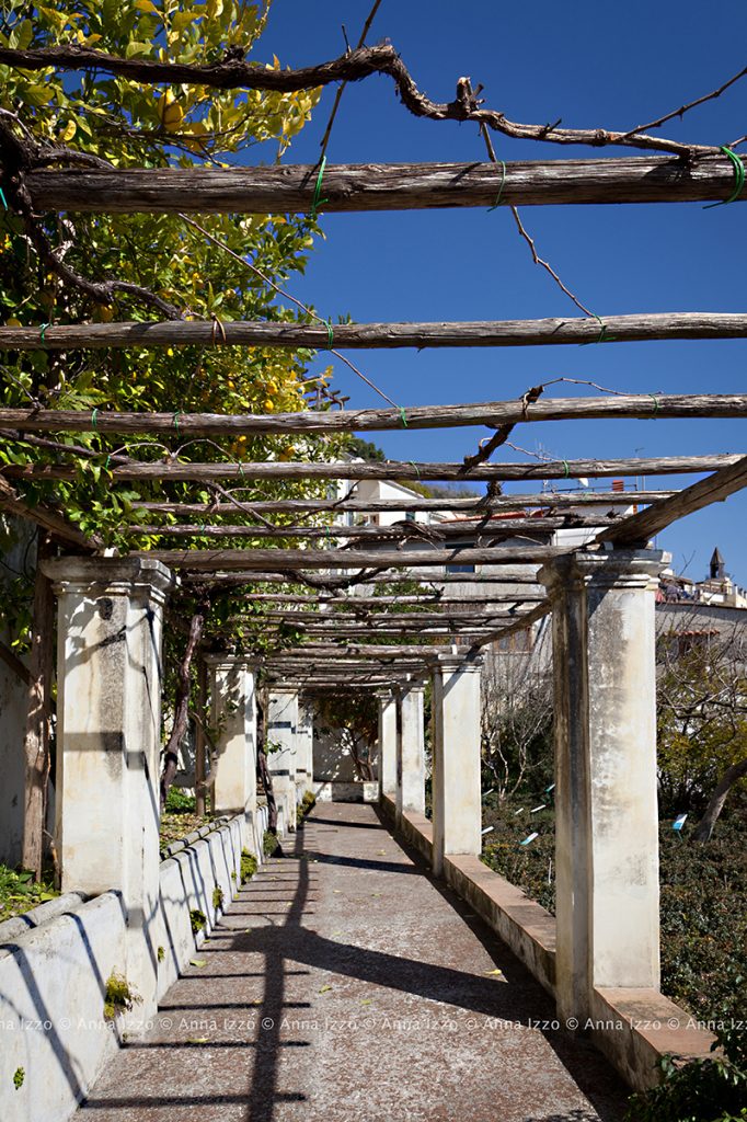 Giardini_della_MINERVA_AnnaIzzo (4)